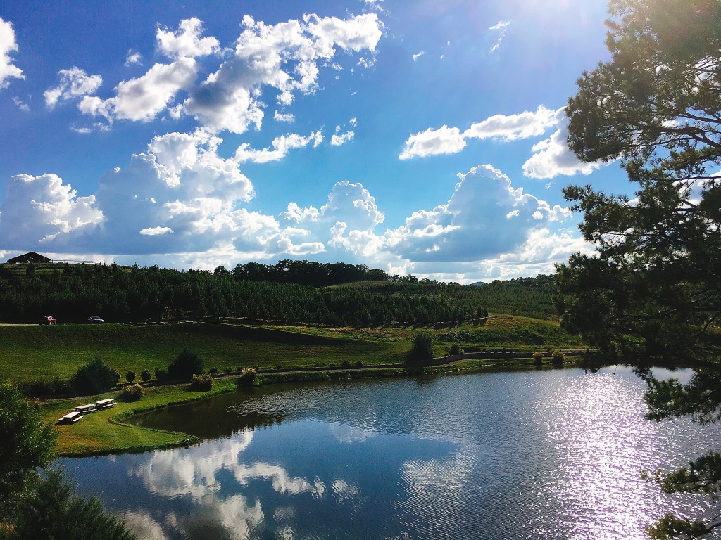 秋季旅行計畫。蘋果園 Mercier Orchards