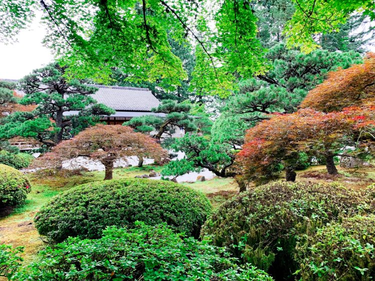 波特蘭 Portland | 5個必訪景點 | 甜牙齒
