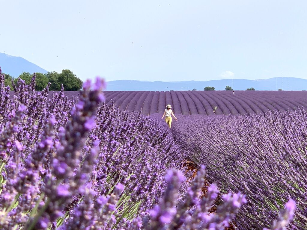 Hello World! | 這五年