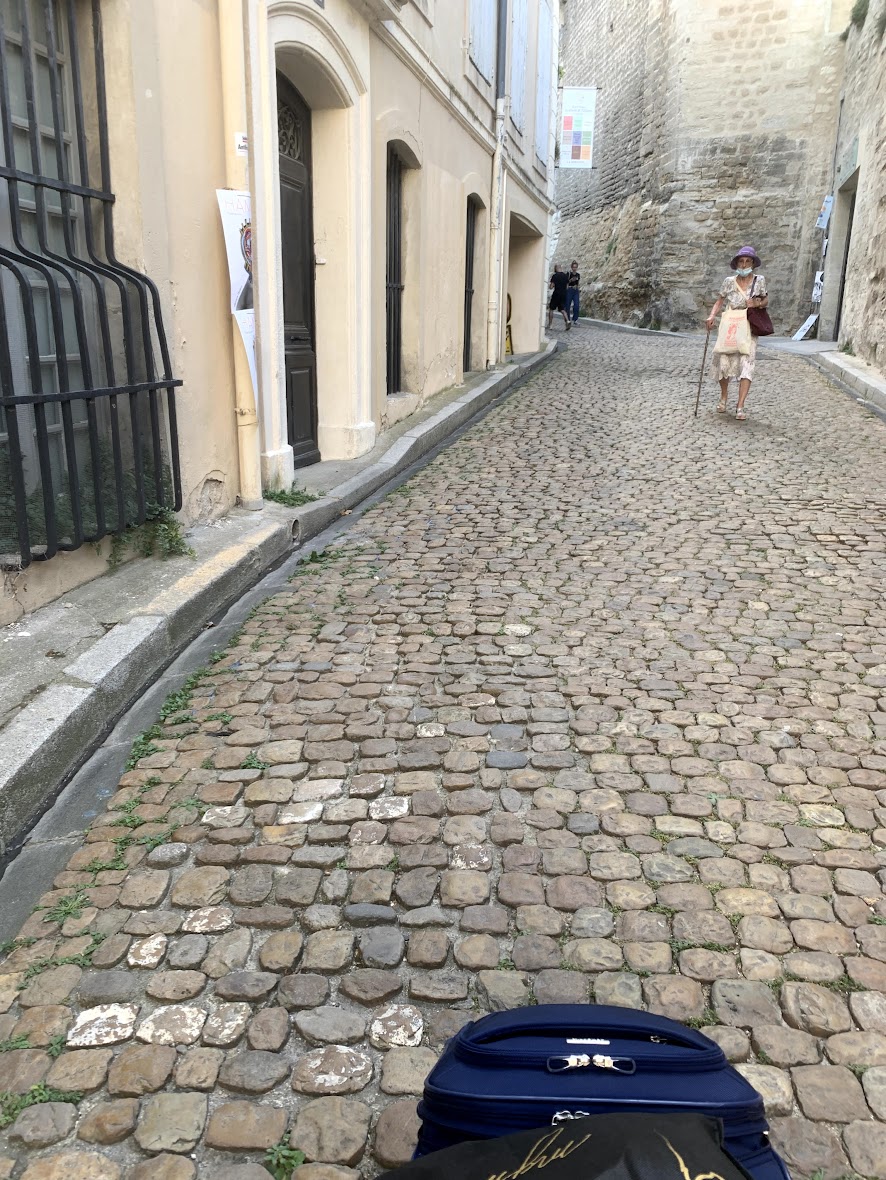 southern france avignon